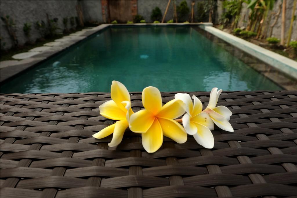 Eka Bali Guest House Ubud Zewnętrze zdjęcie