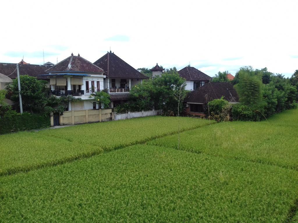 Eka Bali Guest House Ubud Zewnętrze zdjęcie