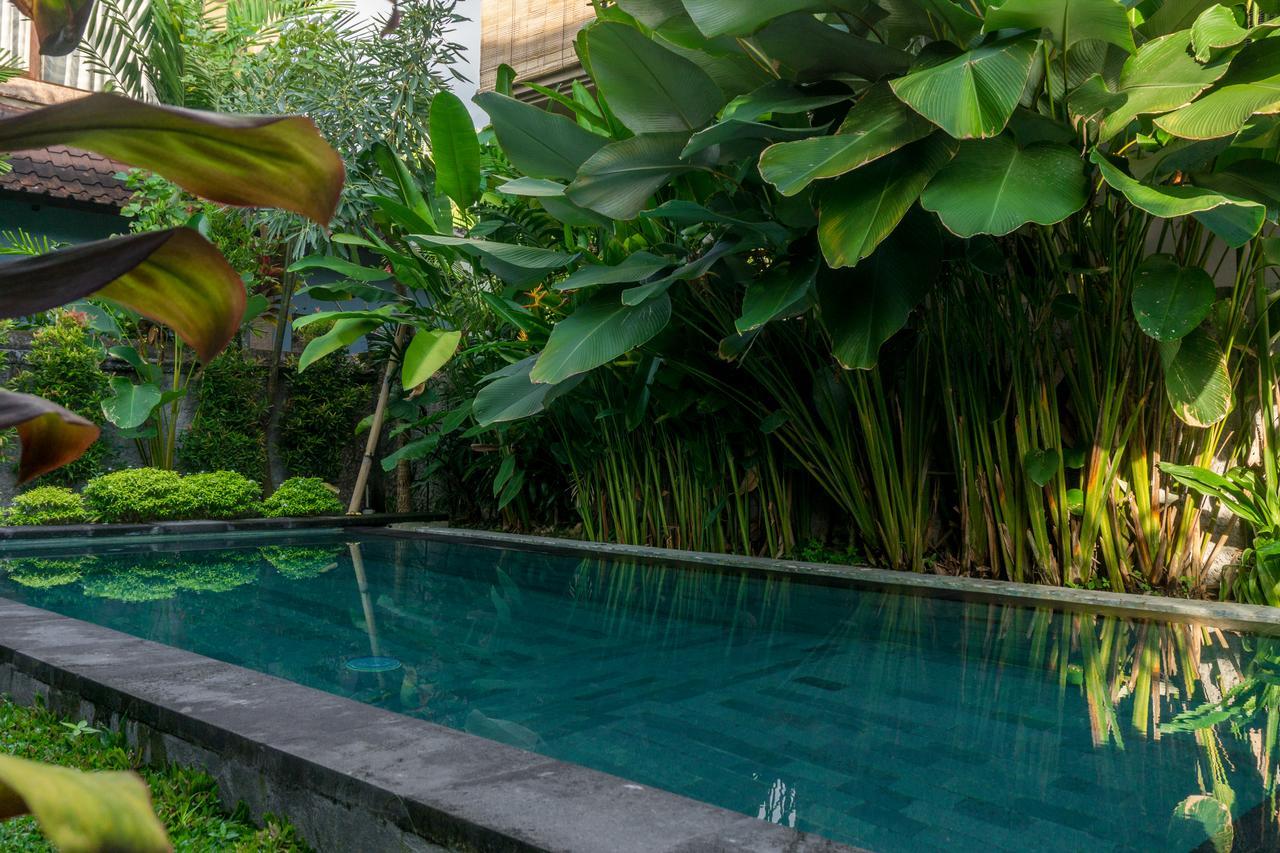 Eka Bali Guest House Ubud Zewnętrze zdjęcie