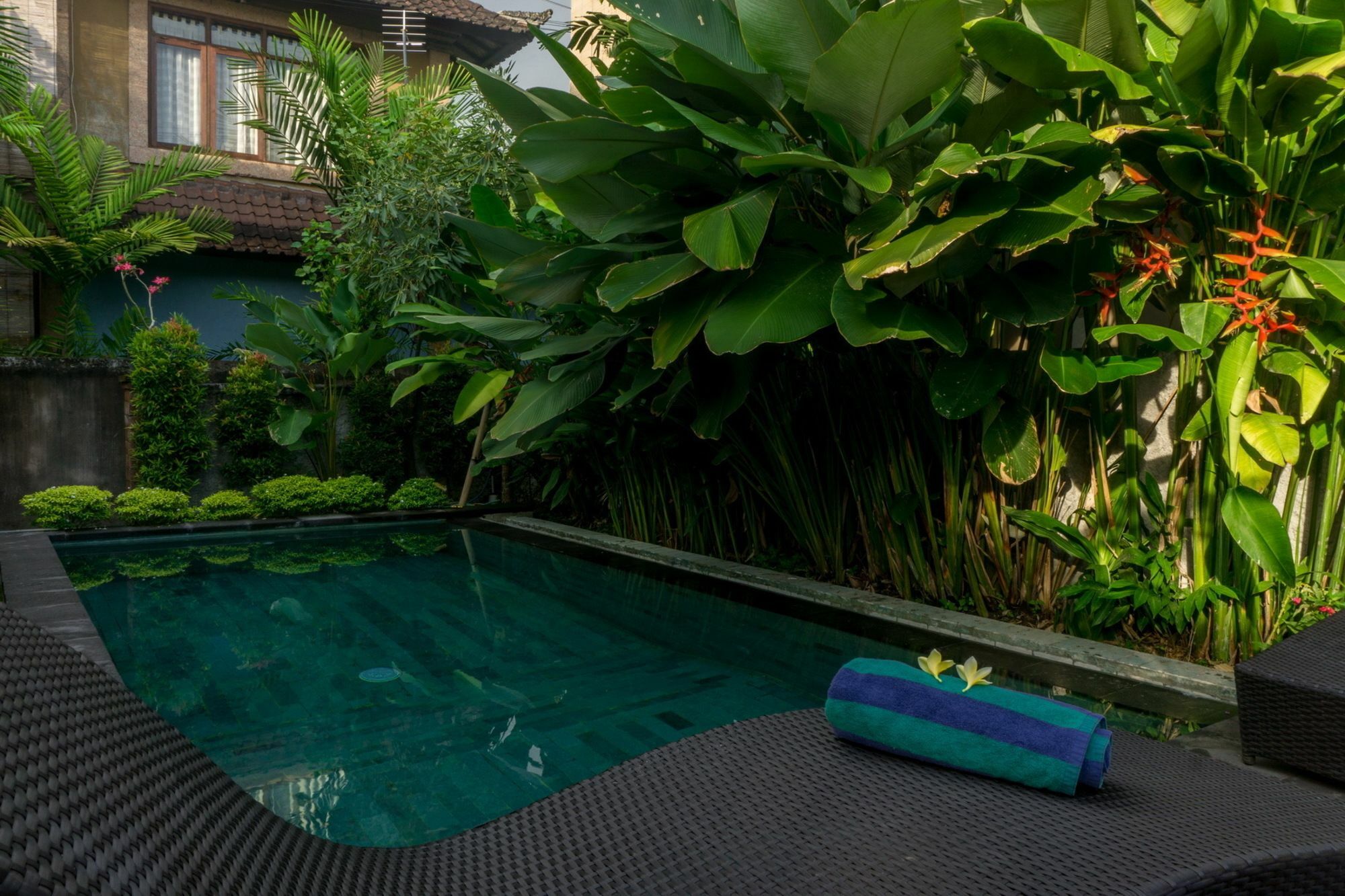 Eka Bali Guest House Ubud Zewnętrze zdjęcie